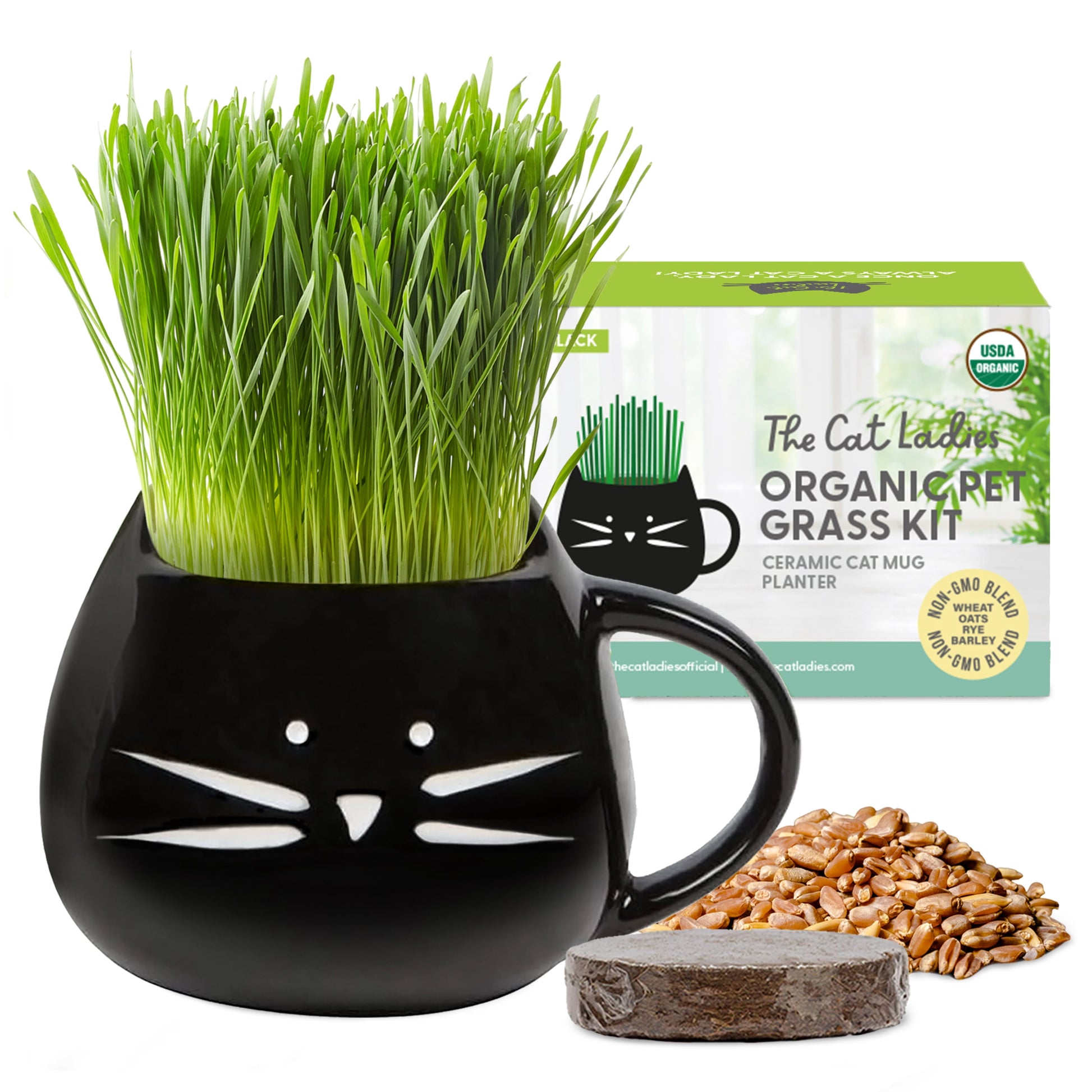 Organic Cat Grass Kit with Black Cat Ceramic Planter, Easy Indoor Planting Gift Set