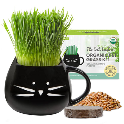 Organic Cat Grass Kit with Black Cat Ceramic Planter, Easy Indoor Planting Gift Set