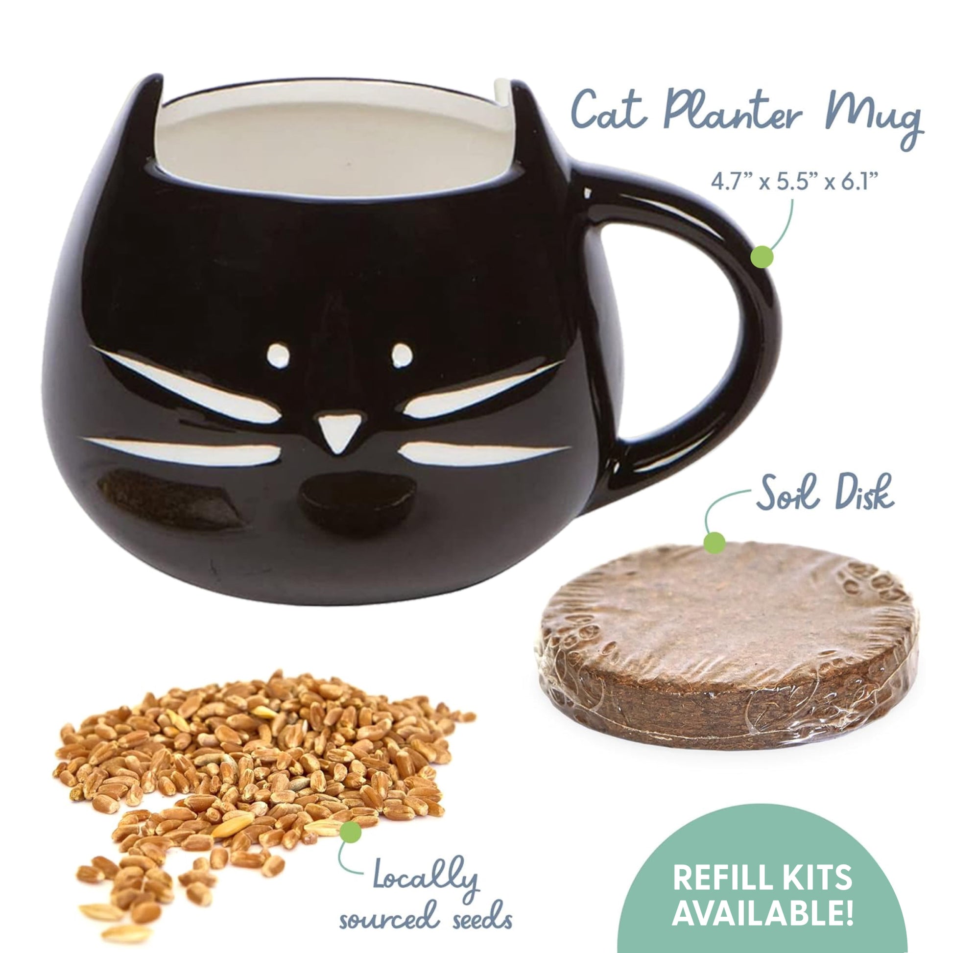 Organic Cat Grass Kit with Black Cat Ceramic Planter, Easy Indoor Planting Gift Set