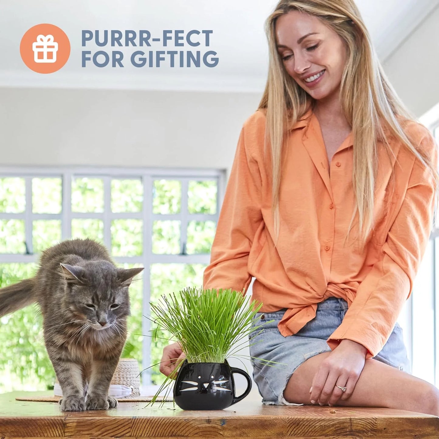 Organic Cat Grass Kit with Black Cat Ceramic Planter, Easy Indoor Planting Gift Set